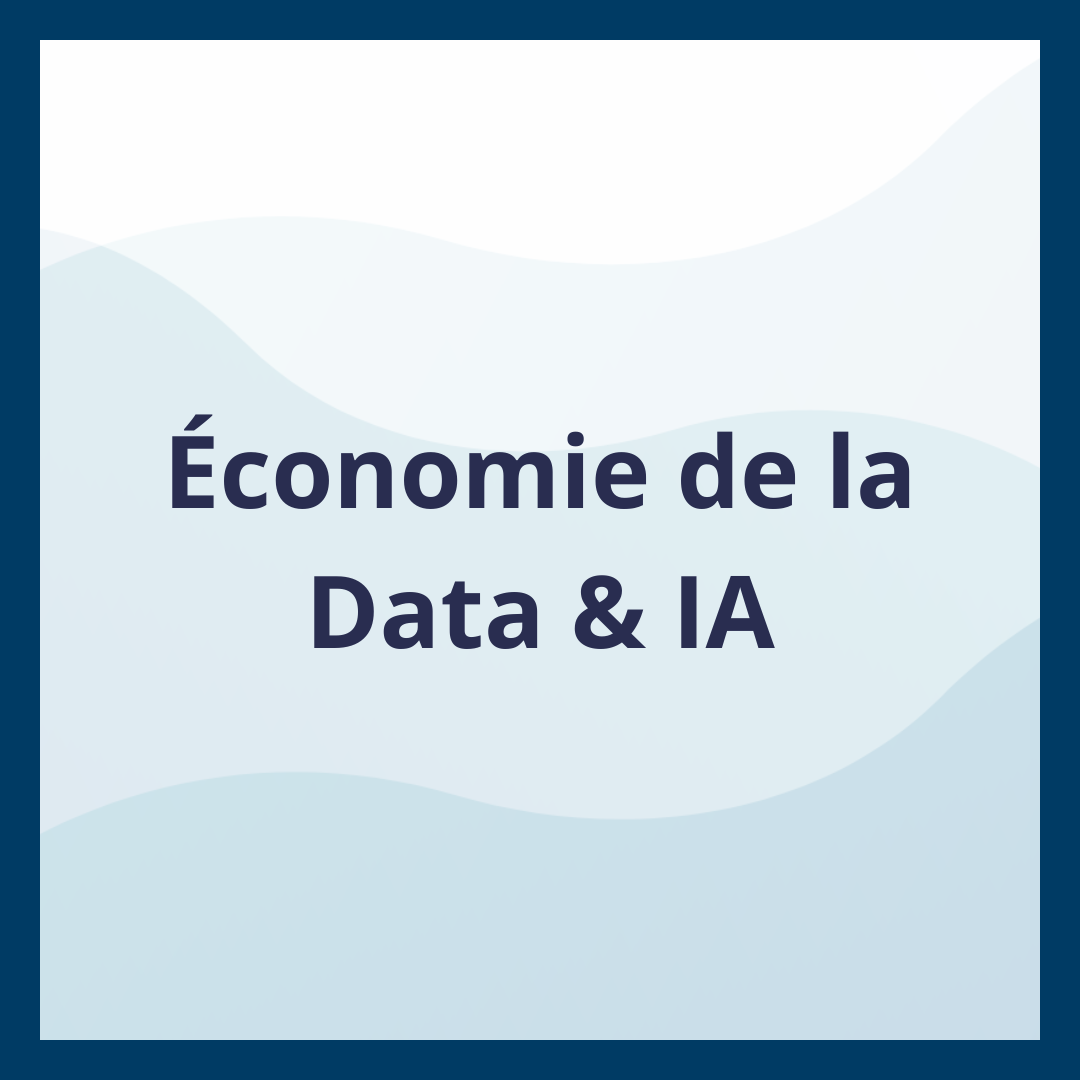 Économie de la Data & IA _Moufadal Mahamadaly Nissad