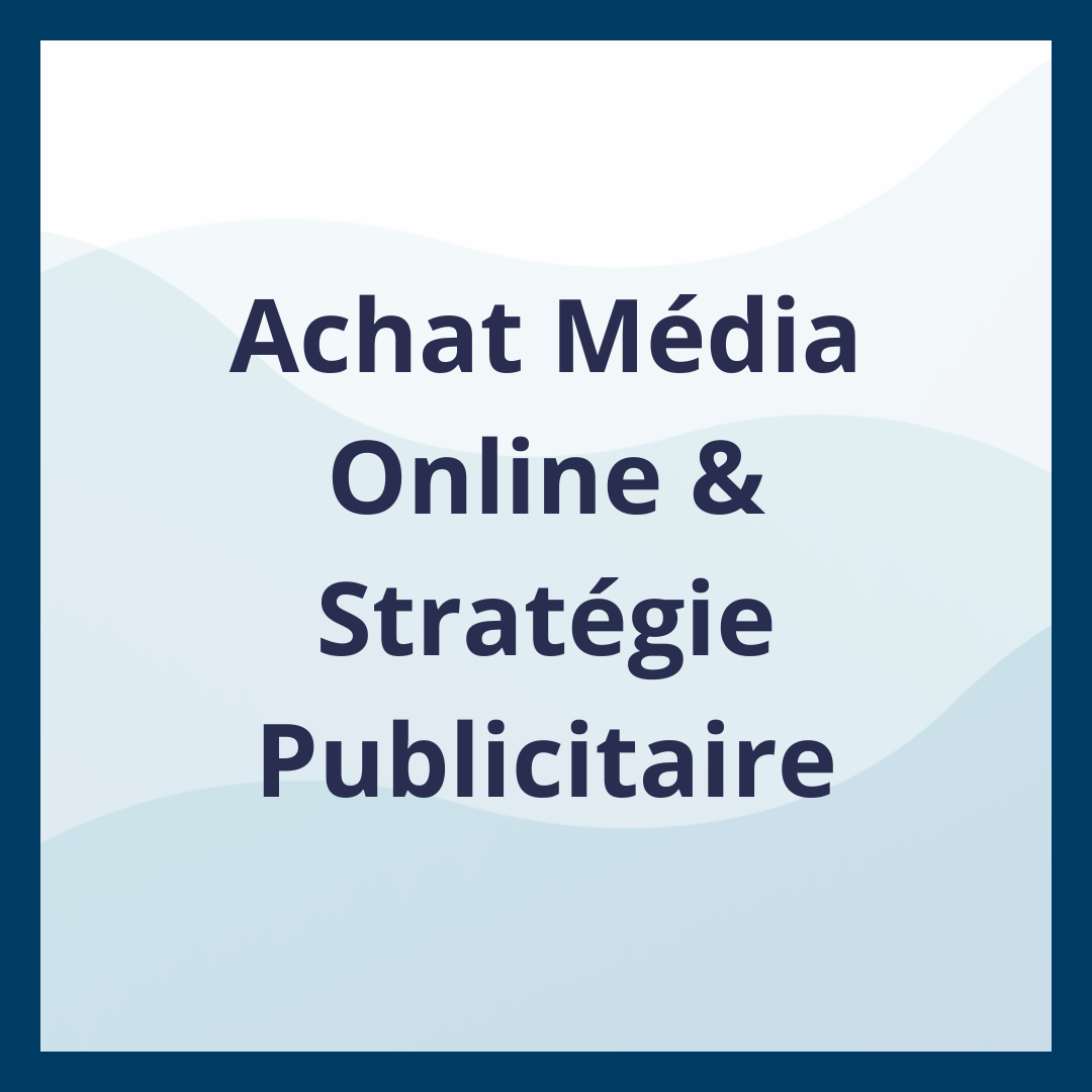 Achat Média Online & Stratégie Publicitaire _Moufadal Mahamadaly Nissad