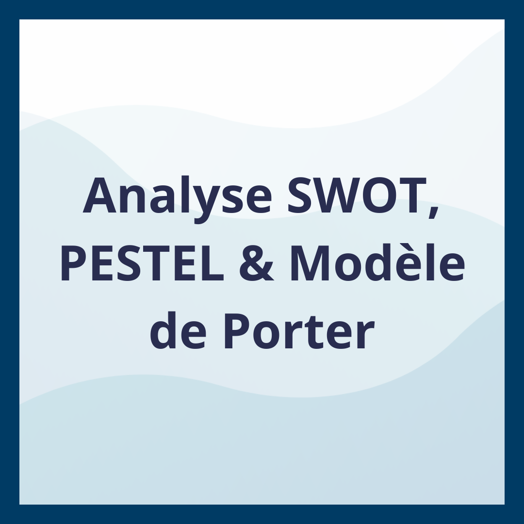 Analyse SWOT, PESTEL & Modèle de Porter _Moufadal Mahamadaly Nissad