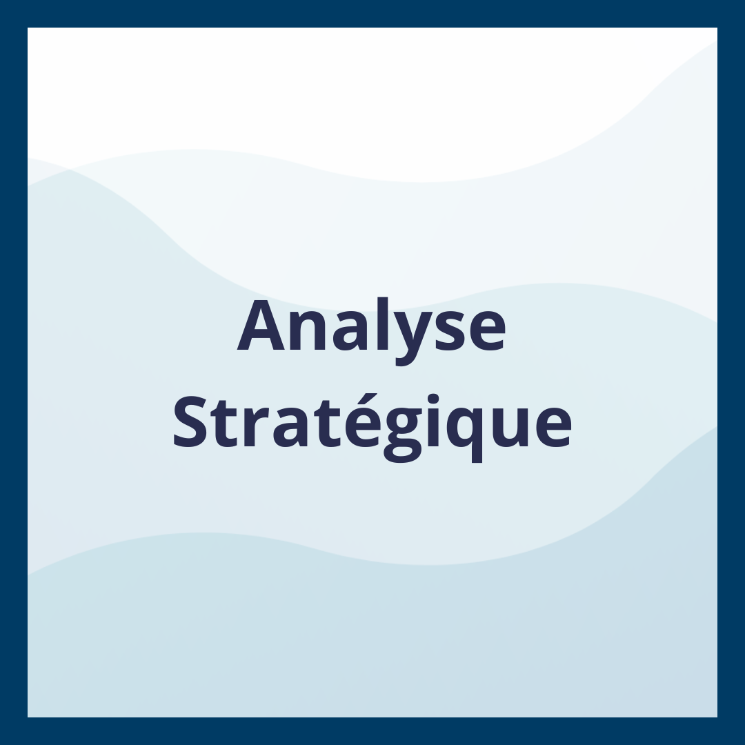 Analyse Stratégique _Moufadal Mahamadaly Nissad