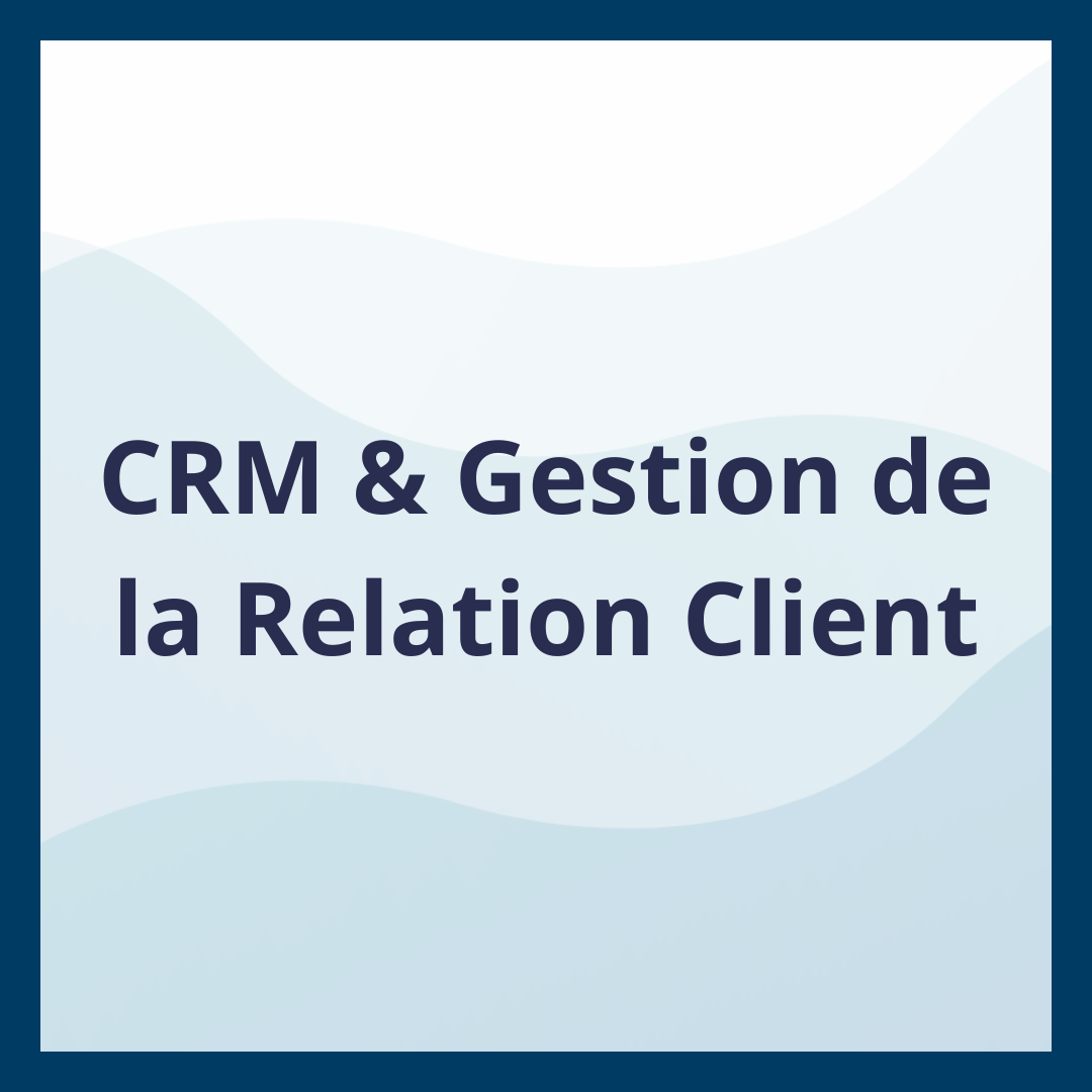 CRM & Gestion de la Relation Client _Moufadal Mahamadaly Nissad