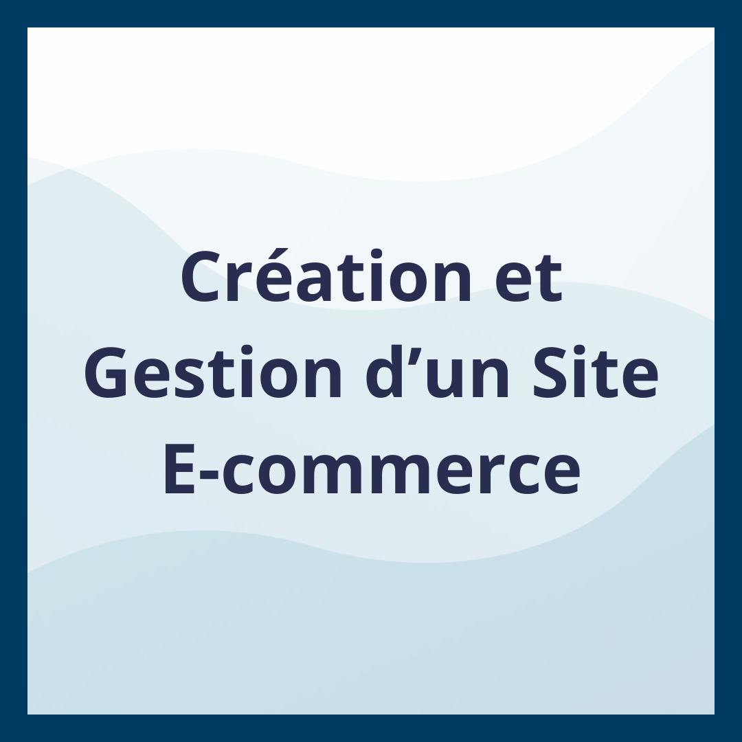 Création et Gestion d’un Site E-commerce _Moufadal Mahamadaly Nissad