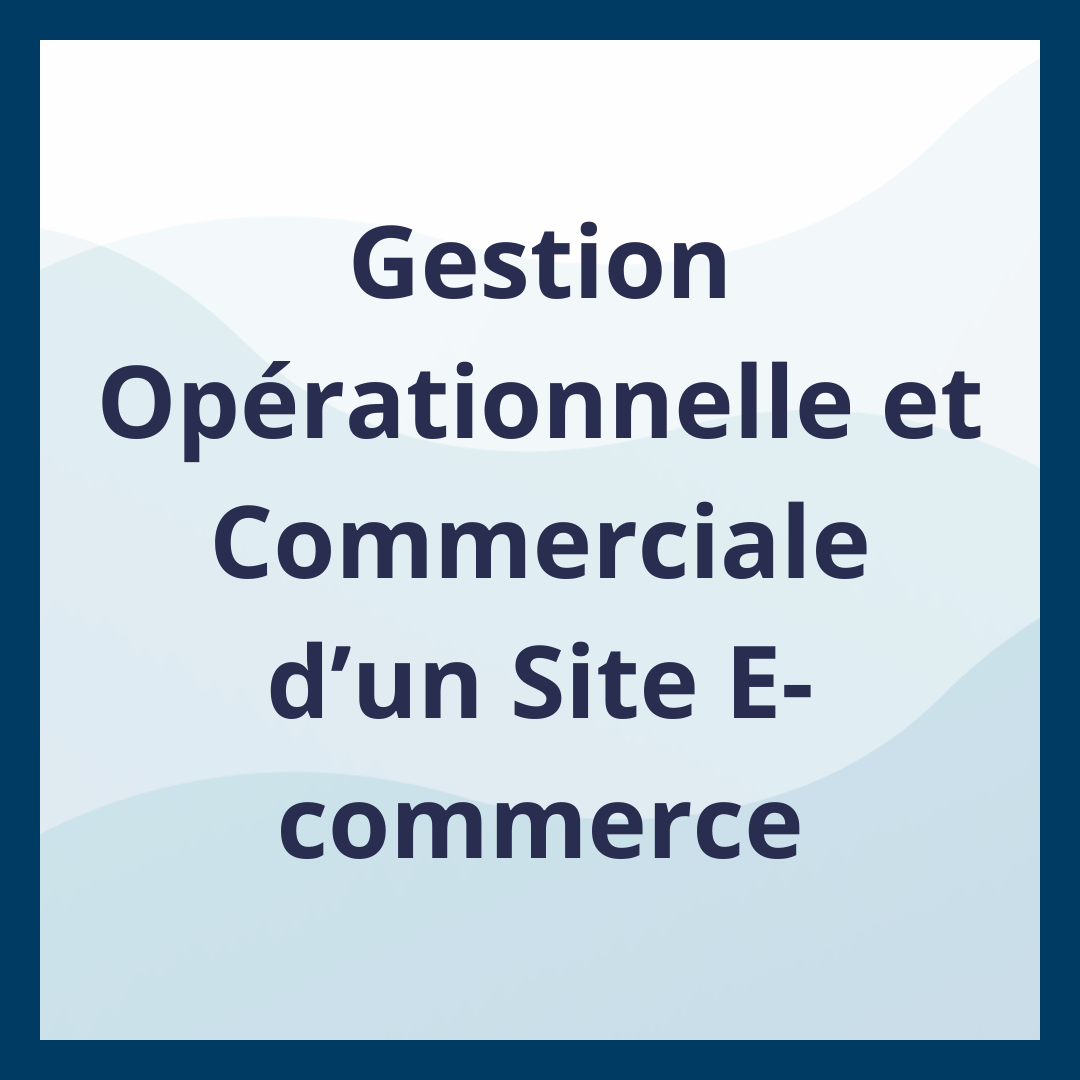 Gestion Opérationnelle et Commerciale d’un Site E-commerce _Moufadal Mahamadaly Nissad