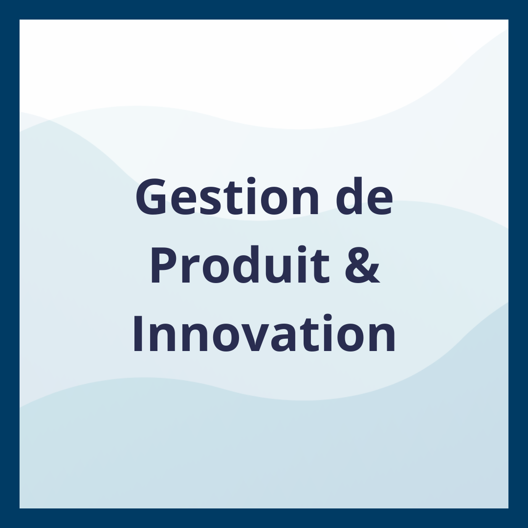 Gestion de Produit & Innovation _Moufadal Mahamadaly Nissad
