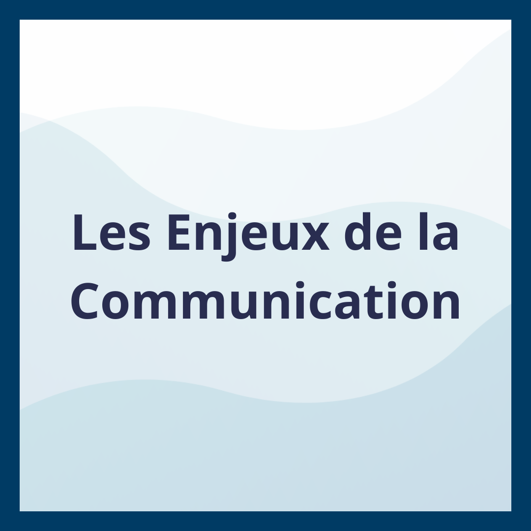 Les Enjeux de la Communication _Moufadal Mahamadaly Nissad