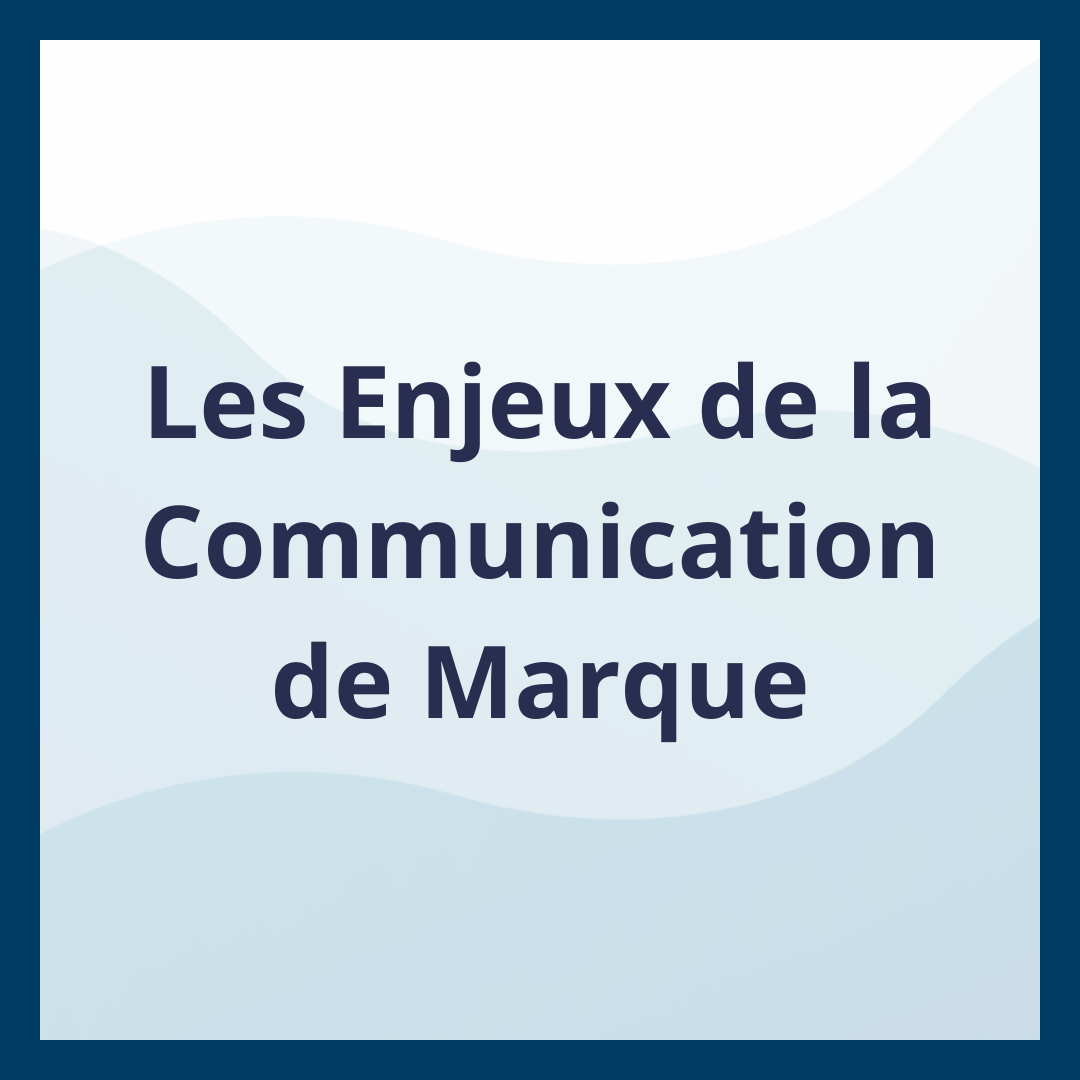 Les Enjeux de la Communication de Marque _Moufadal Mahamadaly Nissad