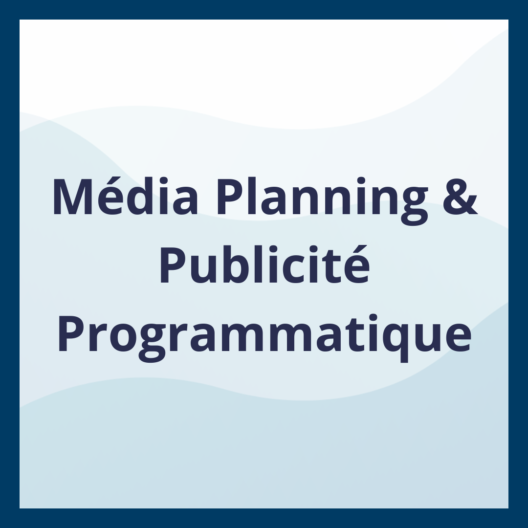 Média Planning & Publicité Programmatique _Moufadal Mahamadaly Nissad