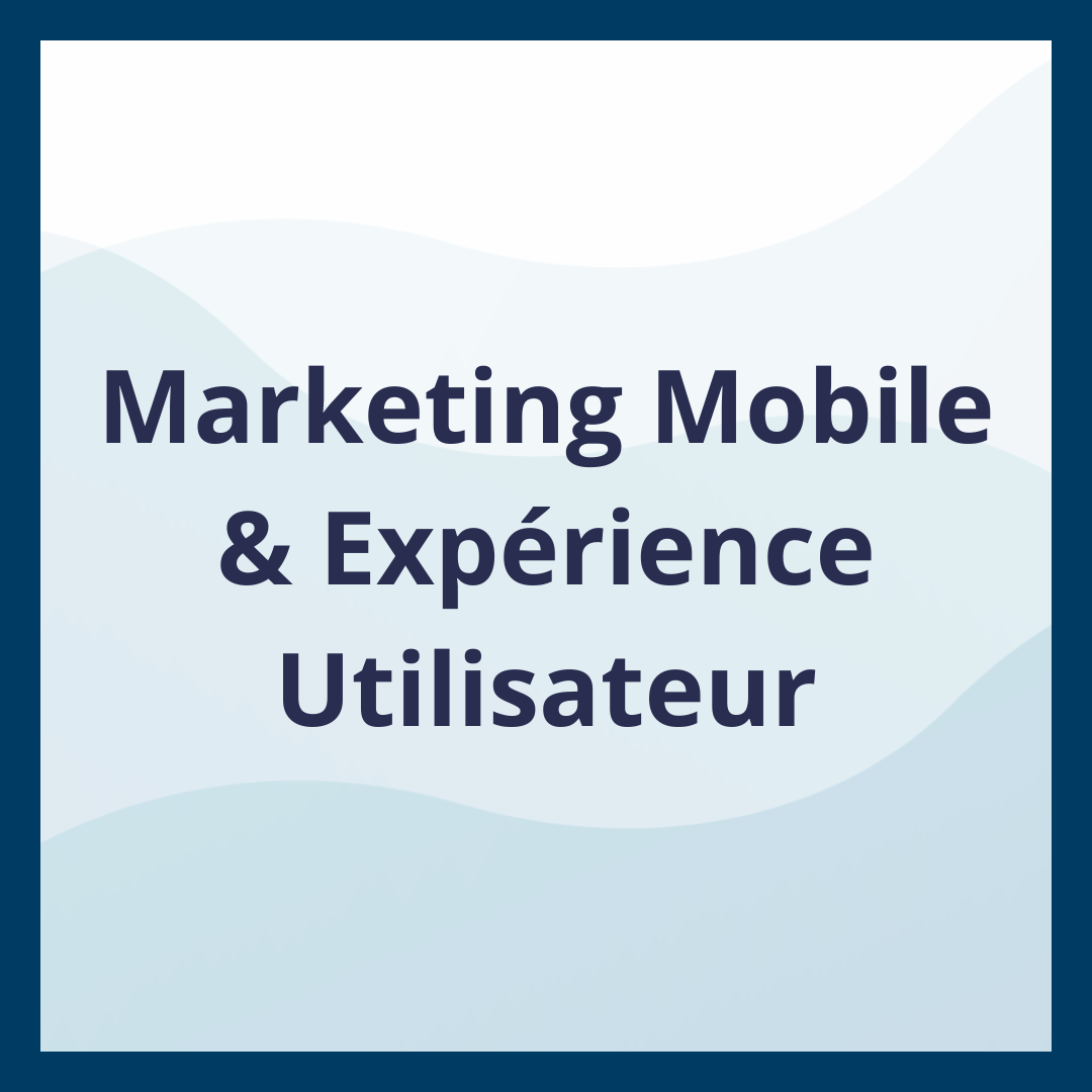 Marketing Mobile & Expérience Utilisateur _Moufadal Mahamadaly Nissad