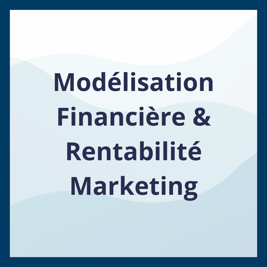 Modélisation Financière & Rentabilité Marketing _Moufadal Mahamadaly Nissad