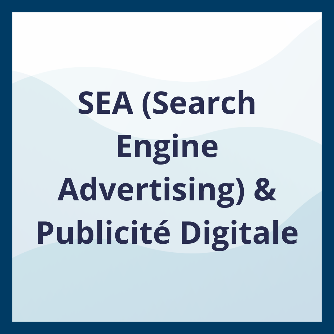 SEA (Search Engine Advertising) & Publicité Digitale _Moufadal Mahamadaly Nissad