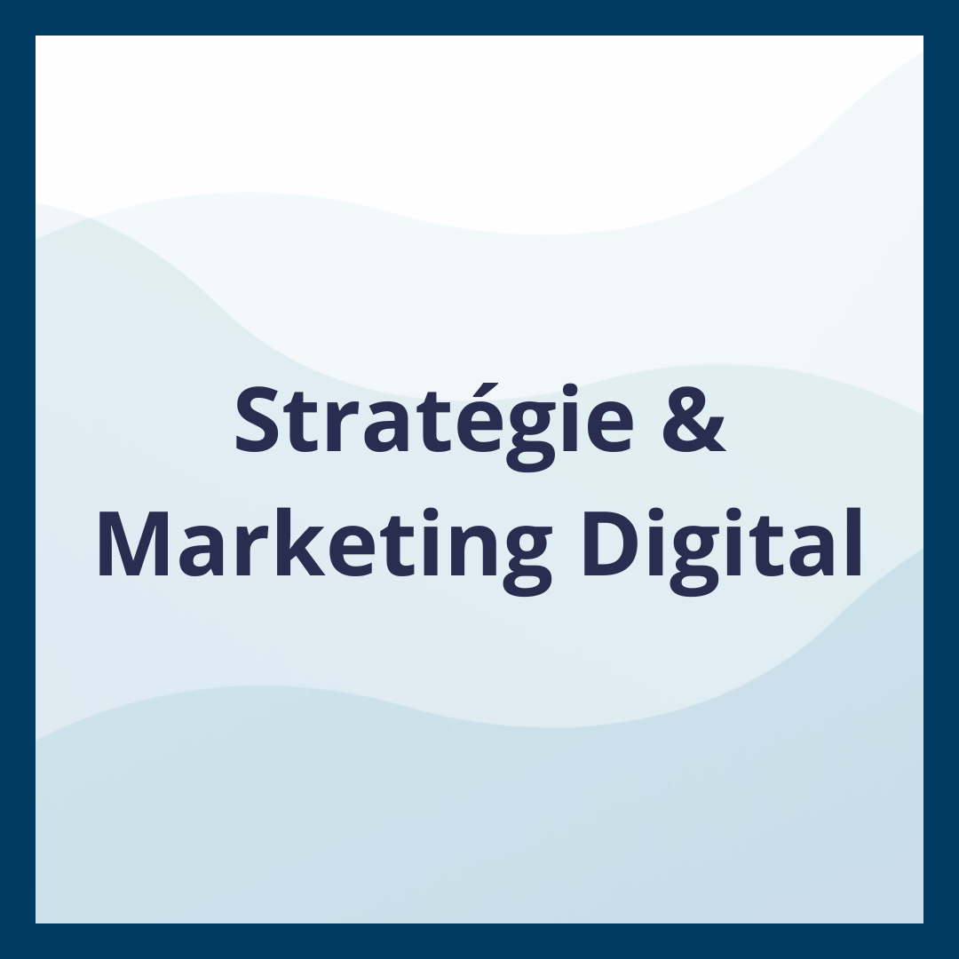 Stratégie & Marketing Digital _Moufadal Mahamadaly Nissad