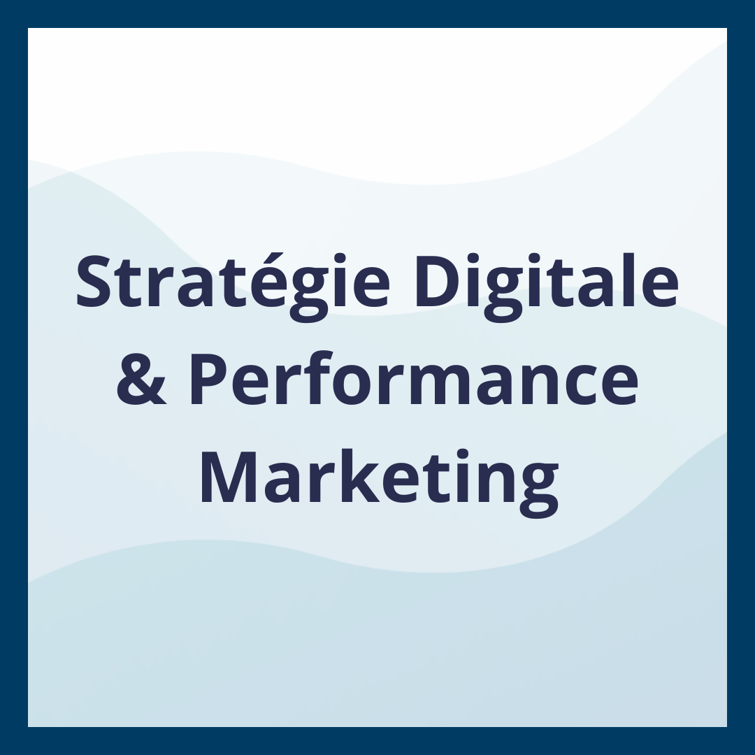 Stratégie Digitale & Performance Marketing _Moufadal Mahamadaly Nissad
