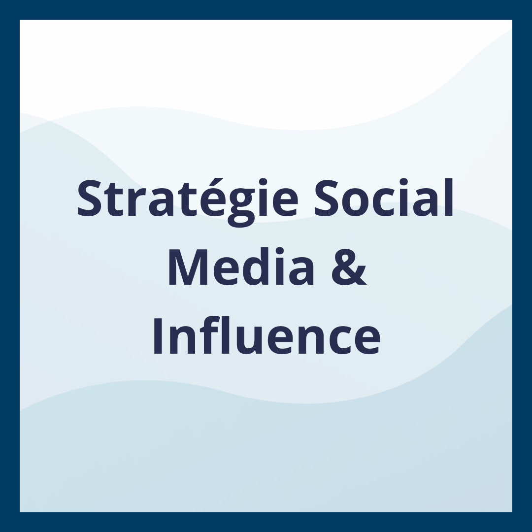 Stratégie Social Media & Influence _Moufadal Mahamadaly Nissad