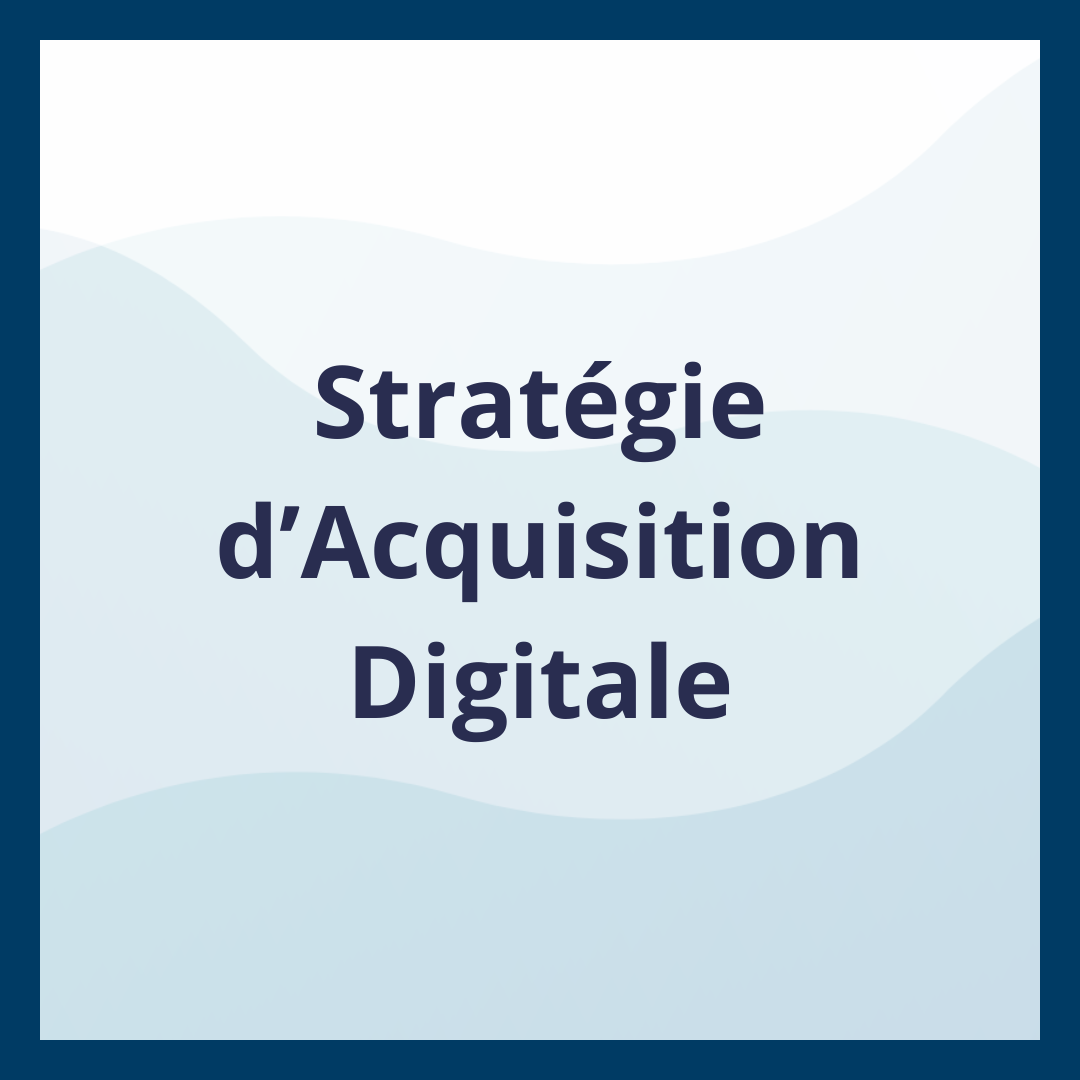 Stratégie d’Acquisition Digitale _Moufadal Mahamadaly Nissad