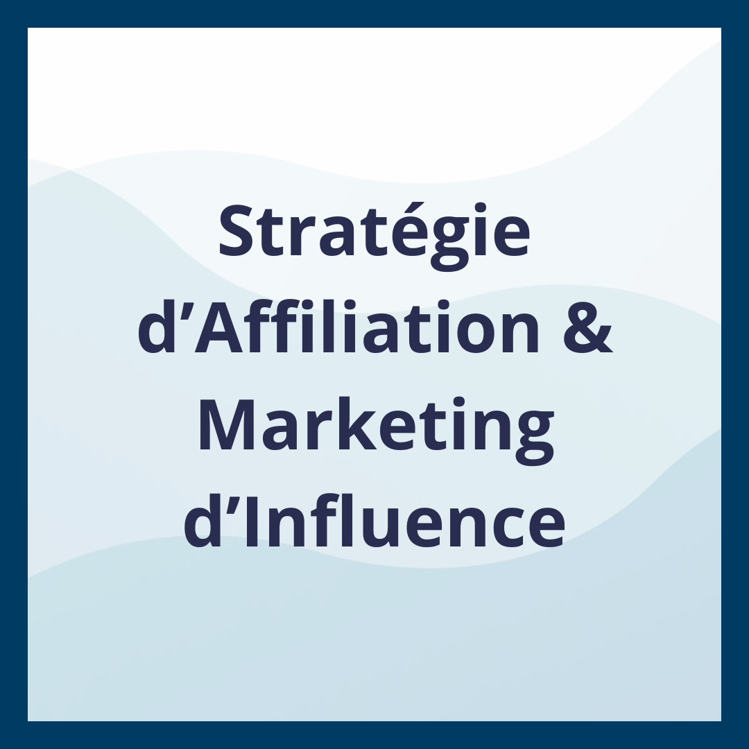 Stratégie d’Affiliation & Marketing d’Influence _Moufadal Mahamadaly Nissad