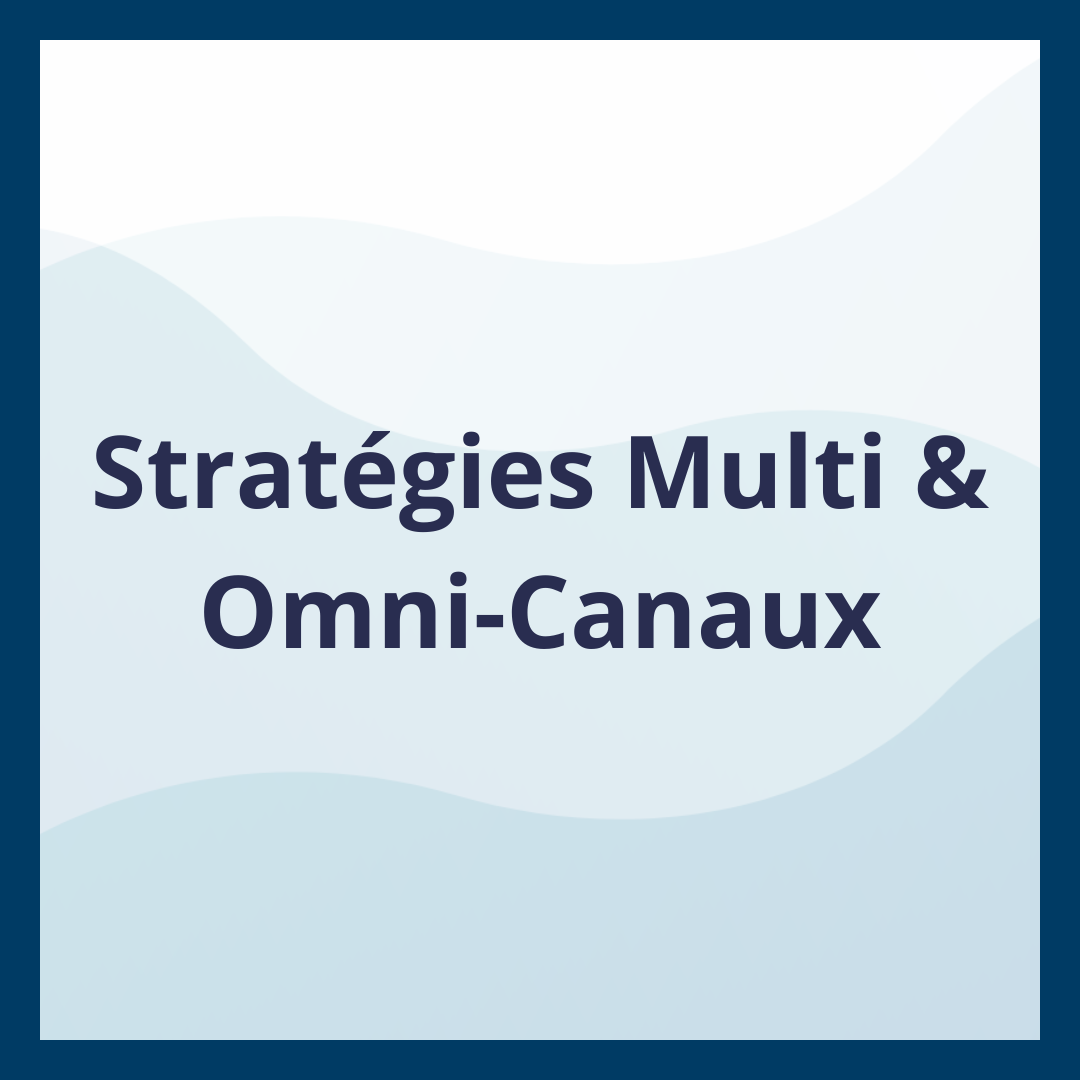 Stratégies Multi & Omni-Canaux _Moufadal Mahamadaly Nissad